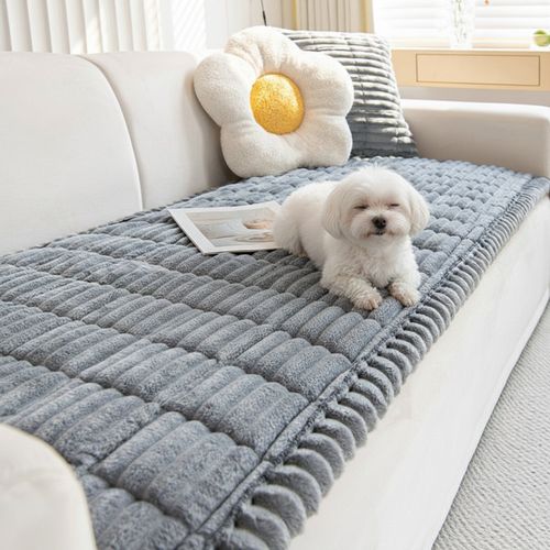 product-img-69a0fe437b2d40f501a909f5.jpg